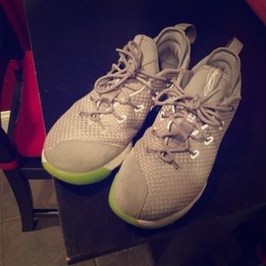 Nike Lebron XIV (14) Size 11.5 Gray